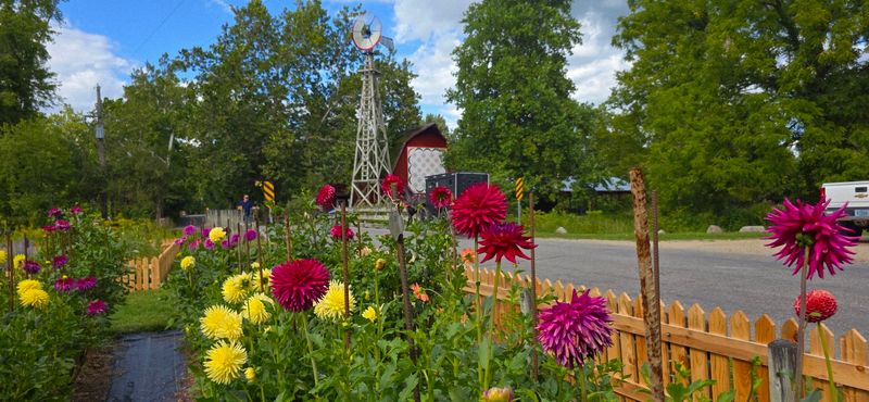 Dahlia Garden and Herb Garden for Nature Lovers