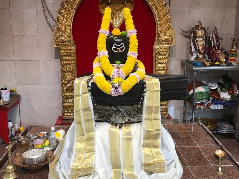 Daily Puja Services and Special Abhishekam Rituals
