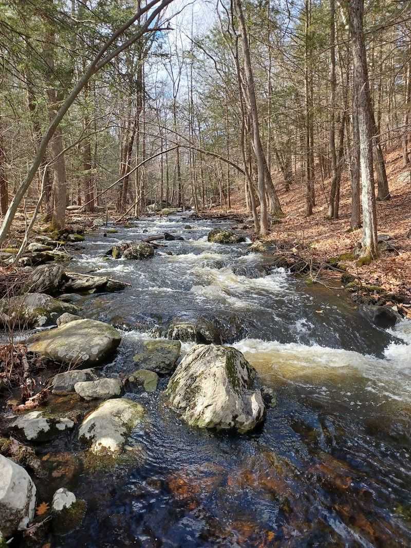 Danforth Brook and the Waterfall Cascades