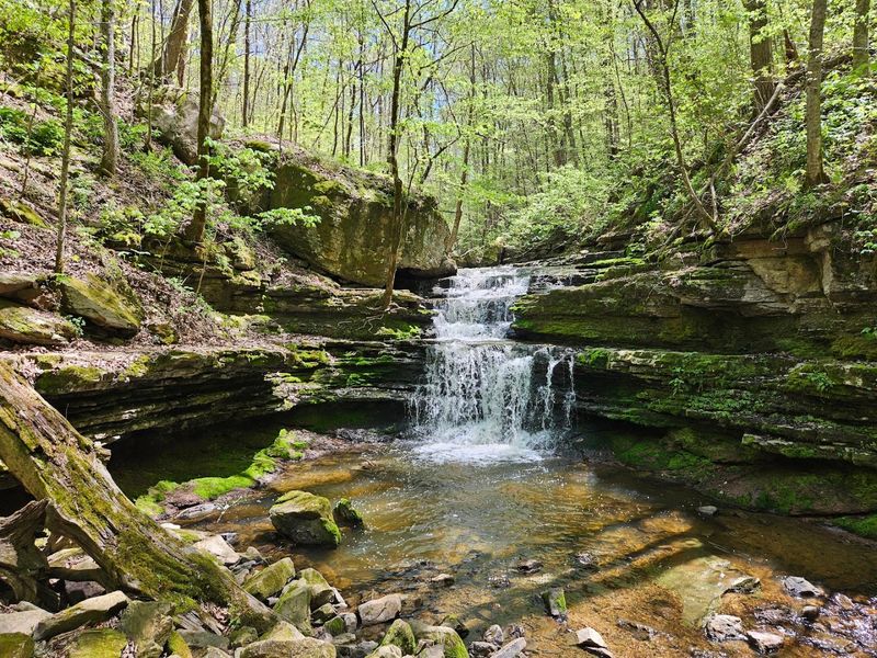 Day Trip Destinations Near Buck's Pocket Day Trip Destinations Near Buck's Pocket