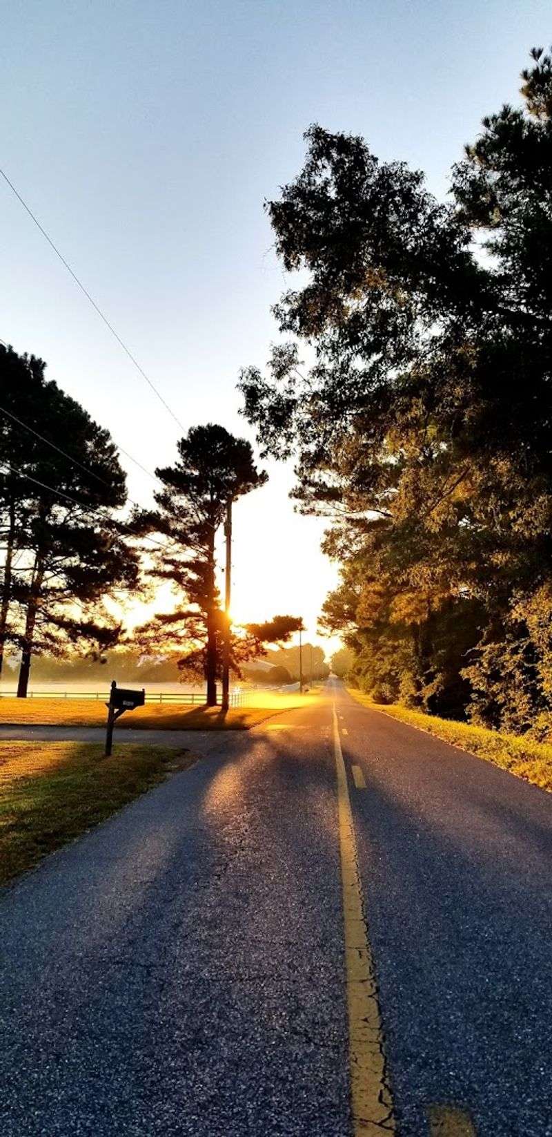 Day Trips to Chincoteague and the Eastern Shore Day Trips to Chincoteague and the Eastern Shore