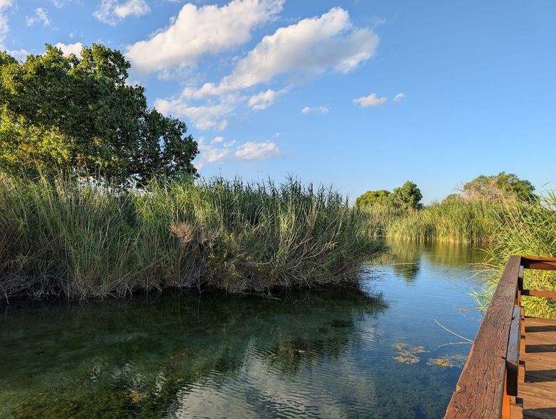 Desert Wildlife and Birdwatching