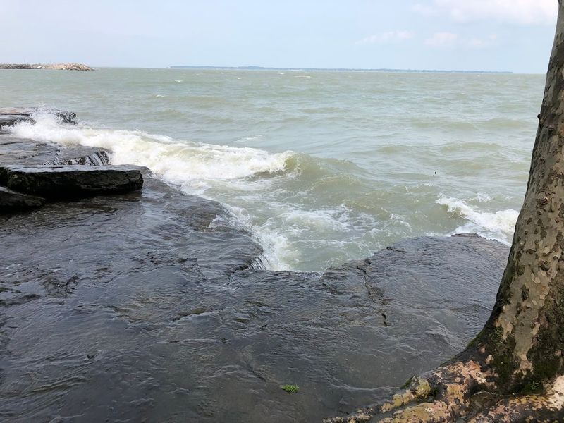 Devonian Fossil Coral Reefs Beneath Your Feet Devonian Fossil Coral Reefs Beneath Your Feet