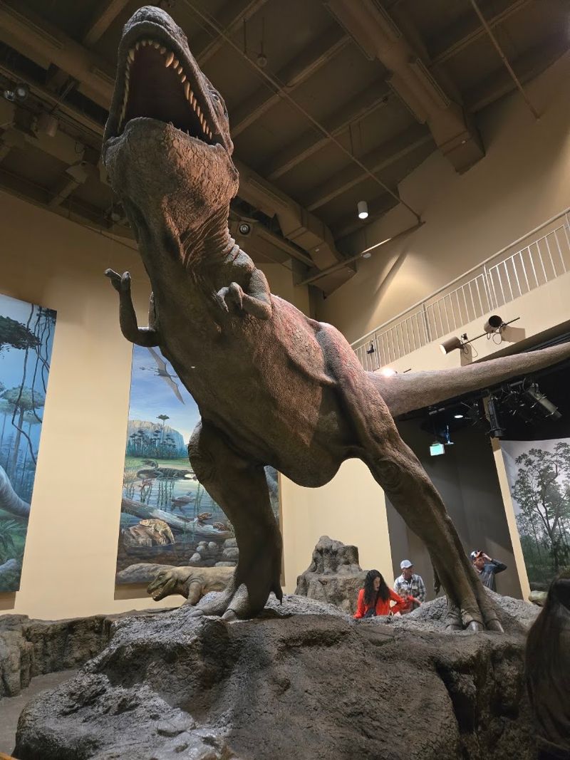 Dinosaur Fossils That Make Your Jaw Drop Dinosaur Fossils That Make Your Jaw Drop