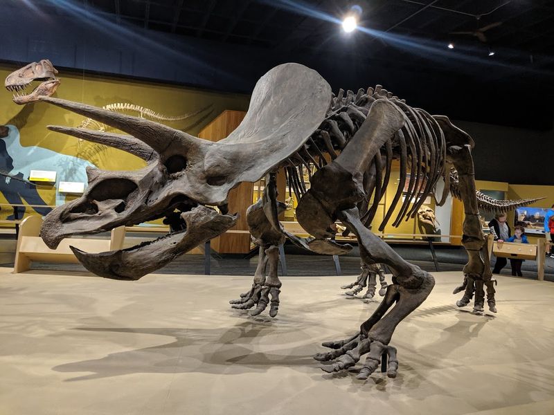 Dinosaur Galleries That Leave You Speechless