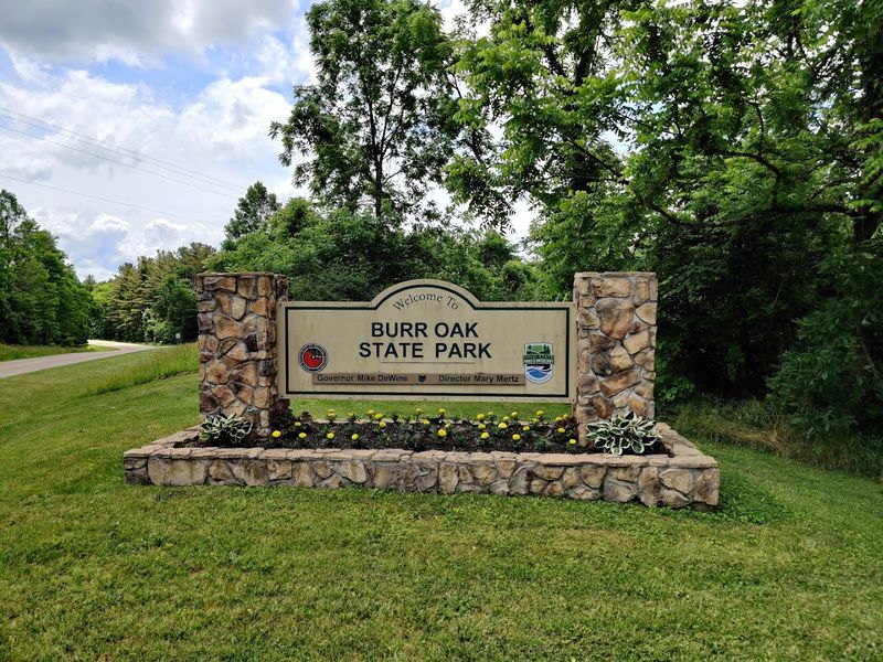 Disc Golf, Volleyball, and Courts That Keep Everyone Moving Disc Golf, Volleyball, and Courts That Keep Everyone Moving
