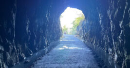 Discover the Underrated Virginia Tunnel Trail That Goes Straight Through A Mountain for a memorable trip
