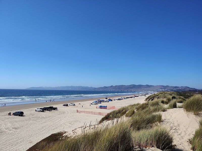 Dog-Friendly Beach Fun For Four-Legged Friends