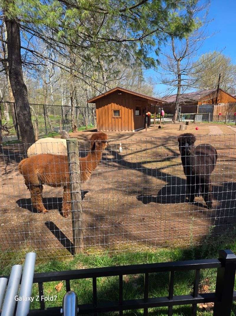 Dog-Friendly Days at the Zoo