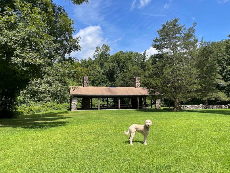 Dog-Friendly Outdoor Fun Dog-Friendly Outdoor Fun