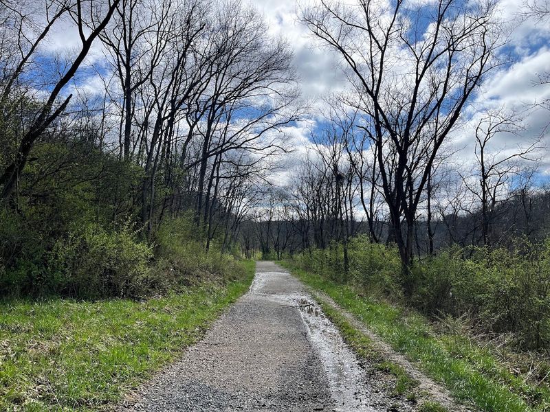 Dog-Friendly Trails Perfect for Your Four-Legged Hiking Buddy Dog-Friendly Trails Perfect for Your Four-Legged Hiking Buddy