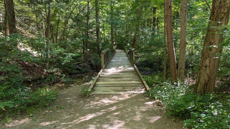 Dog-Friendly Trails That Tail-Waggers Approve Dog-Friendly Trails That Tail-Waggers Approve