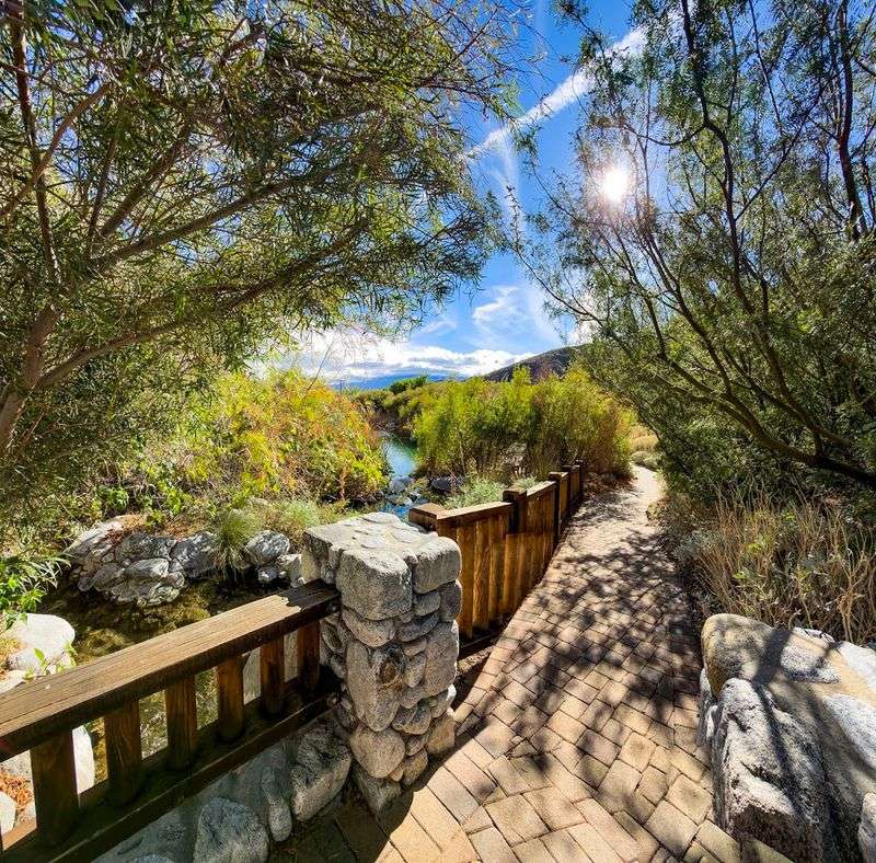 Dog-Friendly Trails That Welcome Four-Legged Explorers