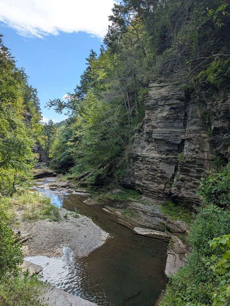 Dog-Friendly Trails With One Key Rule