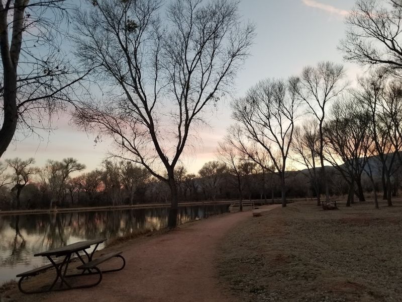 Dog-Friendly Trails and Atmosphere