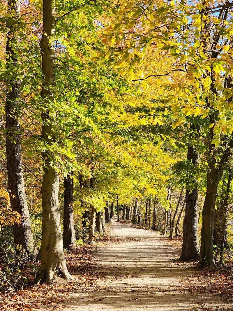 Dog-Friendly Trails and Pet-Welcoming Atmosphere Dog-Friendly Trails and Pet-Welcoming Atmosphere