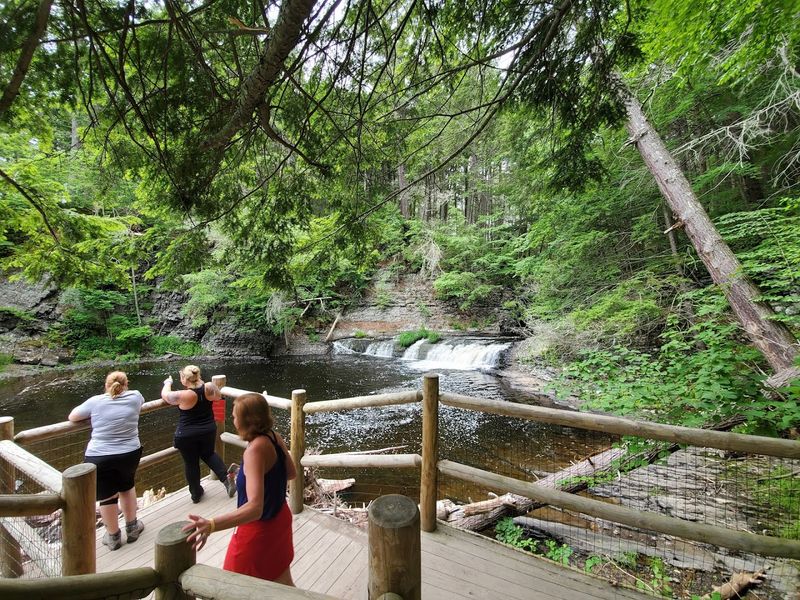 Dog-Friendly Trails at Raymondskill Dog-Friendly Trails at Raymondskill