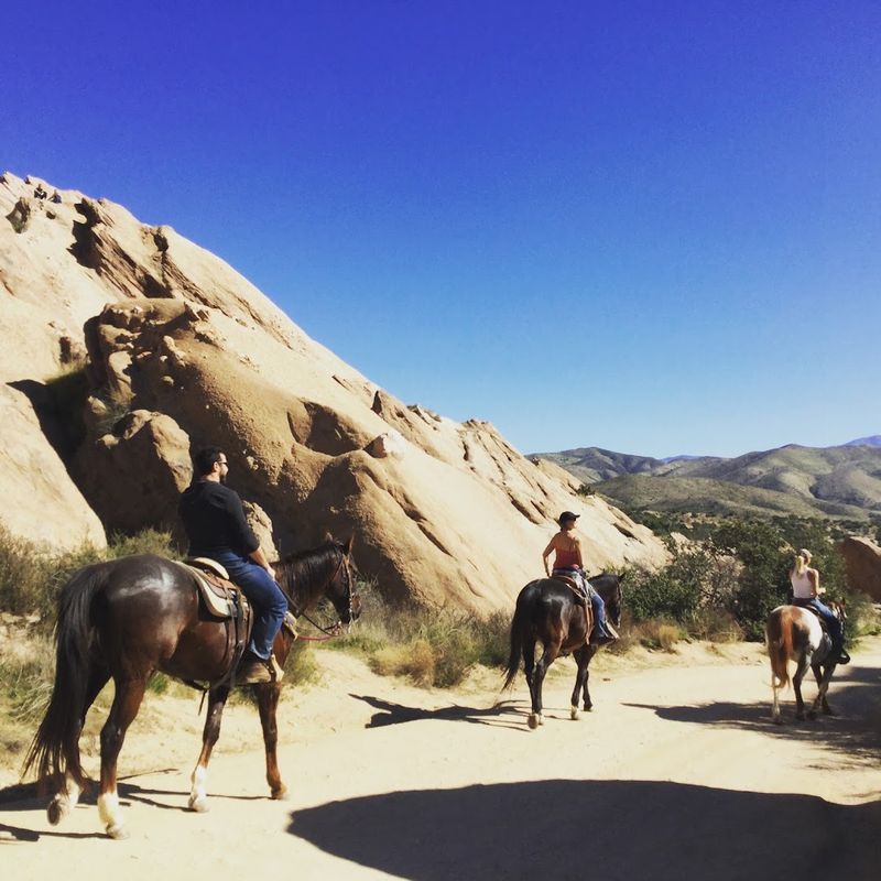 Dogs and Horses Are Welcome on the Trails