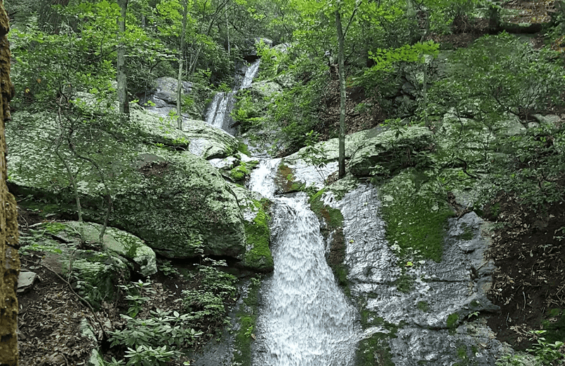 Douthat State Park: A Historic Gem in the Allegheny Mountains