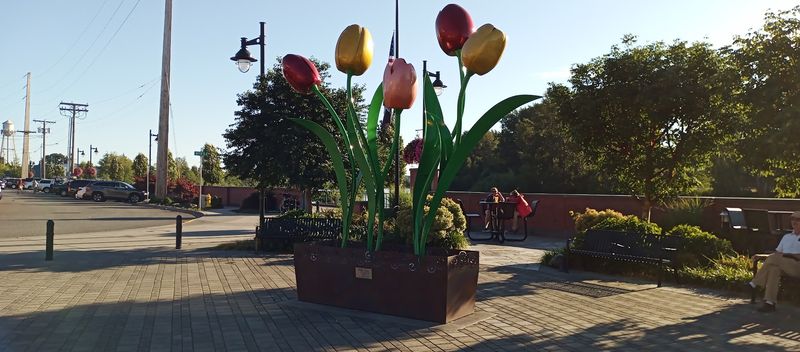Downtown Mount Vernon's Charming Main Street