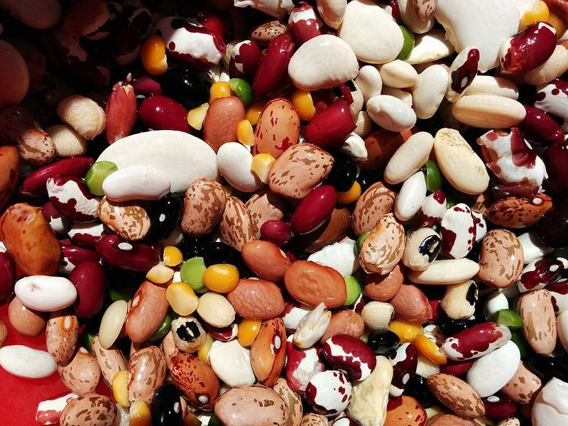 Dry beans