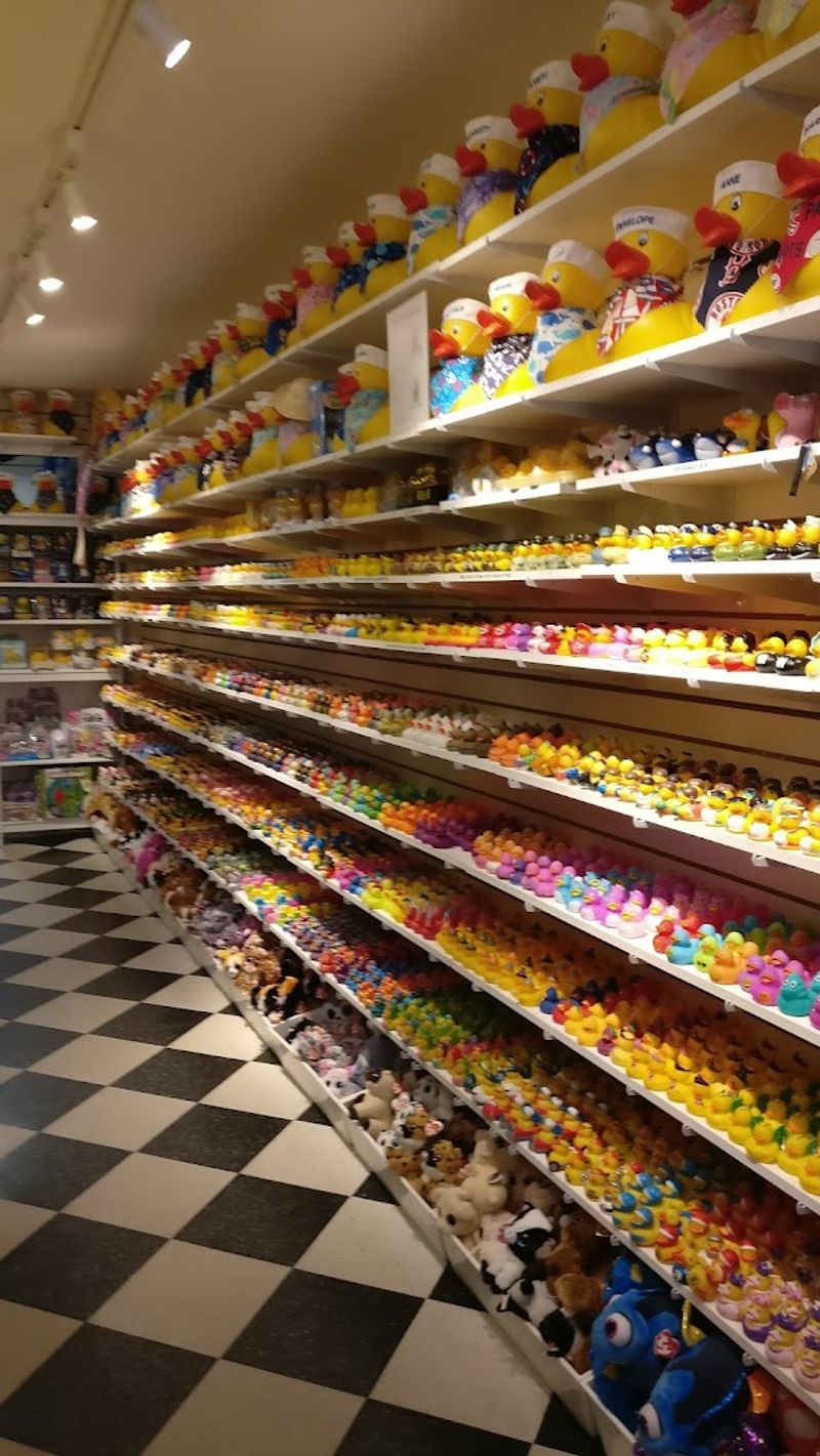 Ducks for Every Occasion and Every Person