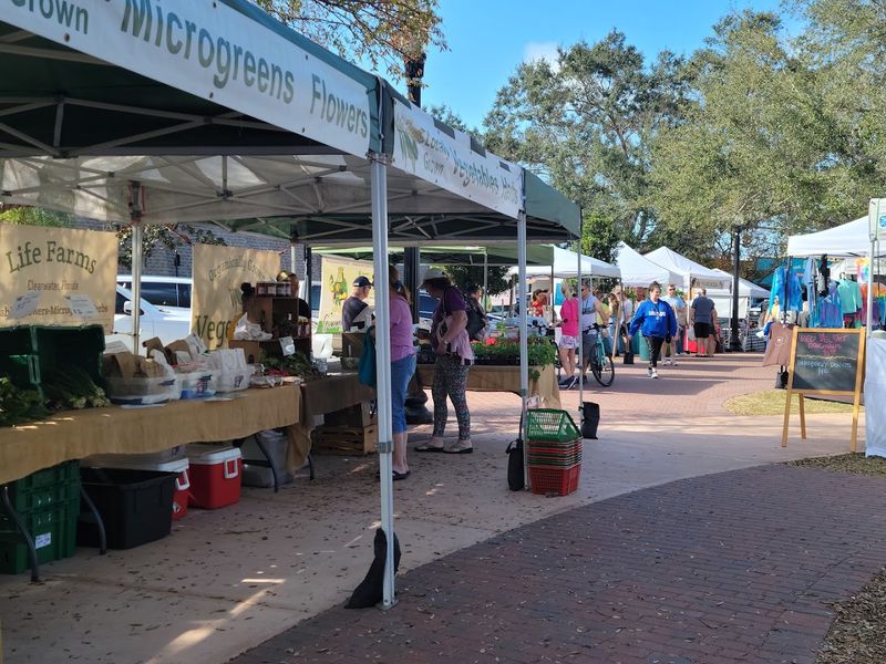 Dunedin Downtown Market - Dunedin, Florida