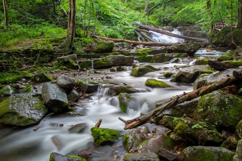 Dunnfield Creek Natural Area – Columbia, New Jersey
