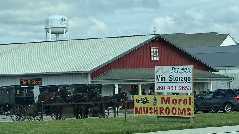 Dutch Country Market and Amish Goods