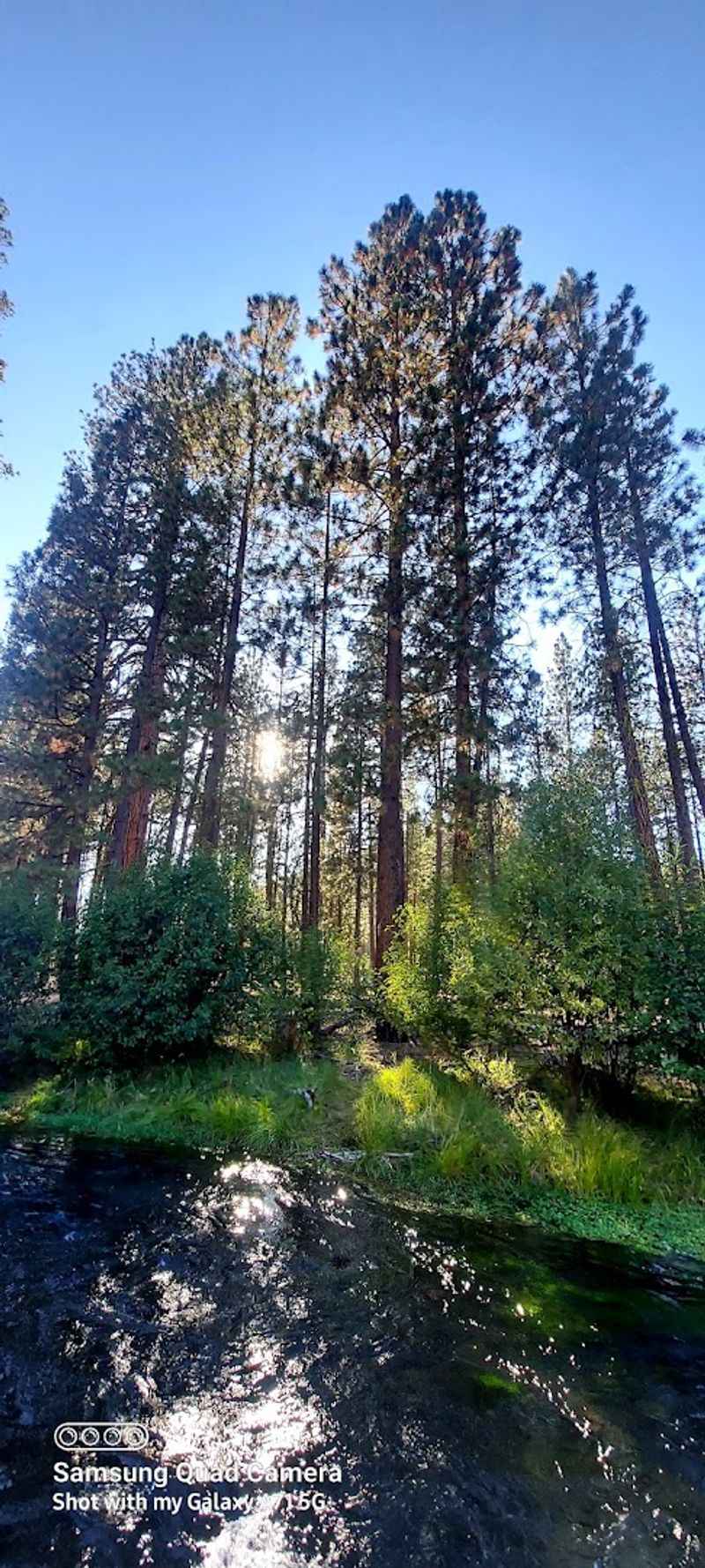 Eagle Lake Offers World-Class Fishing Minutes Away