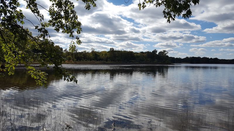 Eagle Lake and Its Surrounding Birdlife Eagle Lake and Its Surrounding Birdlife