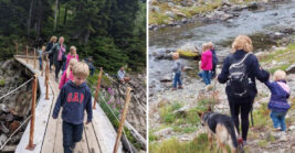 Easy 1.4 Mile Washington Trail That Delivers Big Views Without the Long Hike