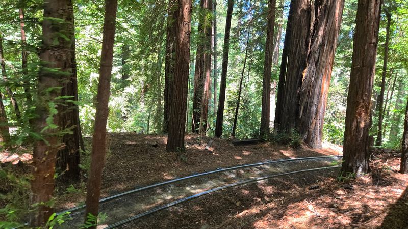 Easy Hiking Trails Right Next Door