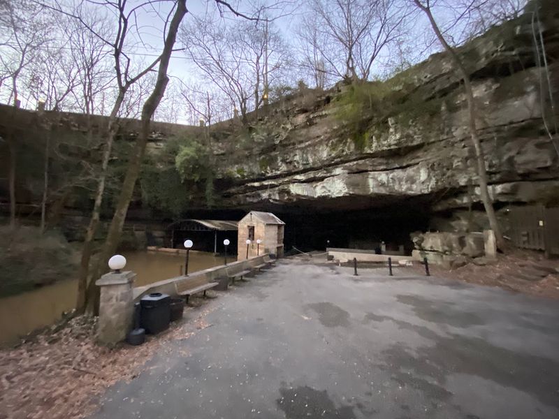 Easy to Reach Right in Bowling Green