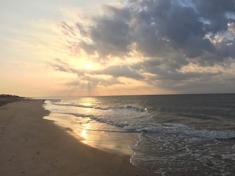 Edisto Beach State Park: A Nature Lover's Dream