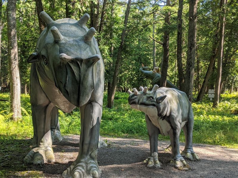 Educational Dinosaur Facts Along the Trail Educational Dinosaur Facts Along the Trail