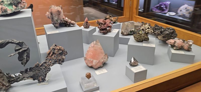 Educational Exhibits That Make Science Come Alive