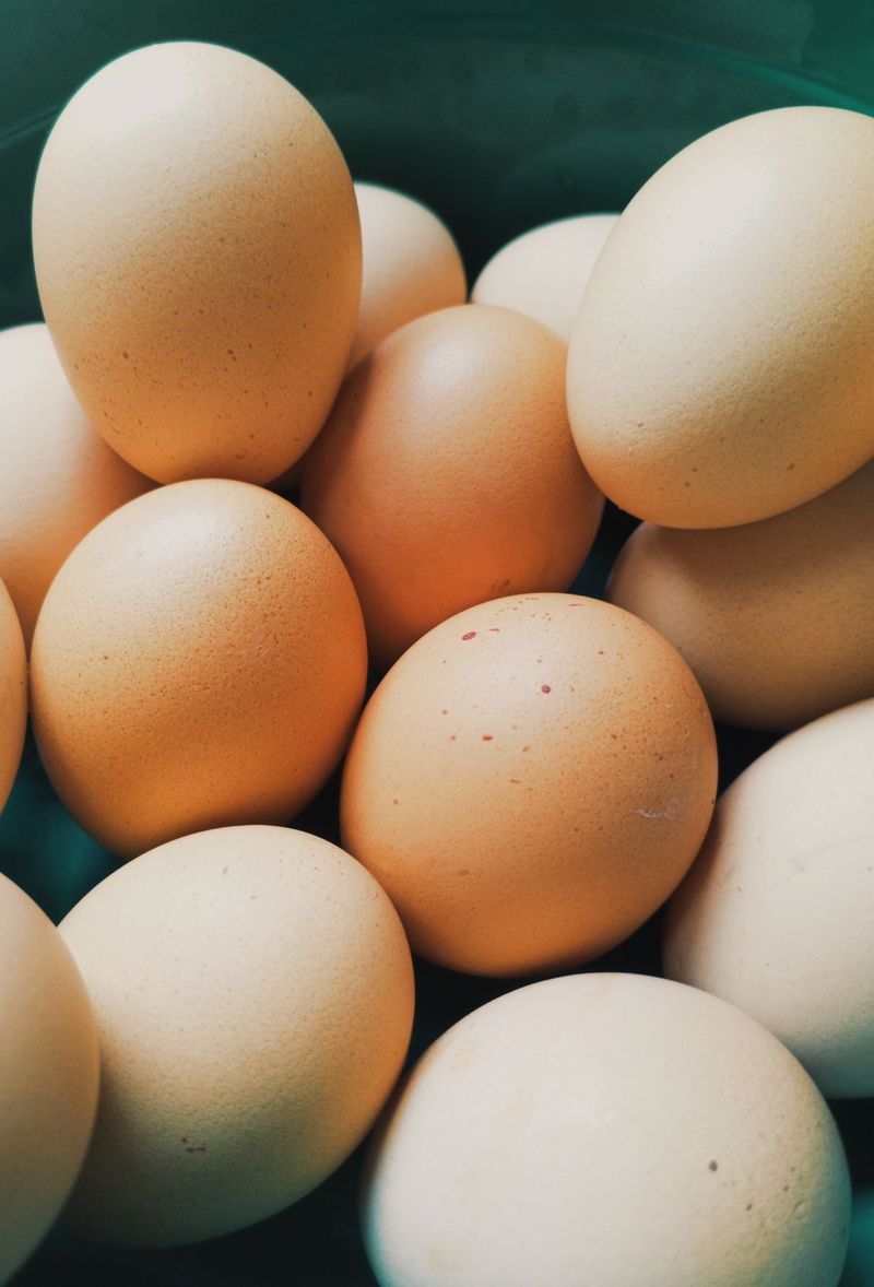 Eggs