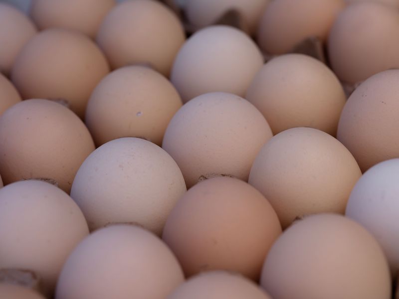 Eggs Eggs