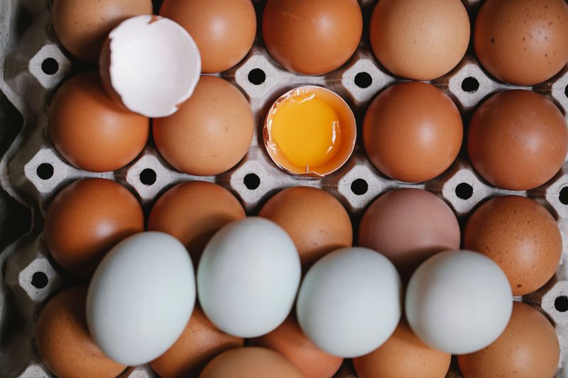 Eggs
