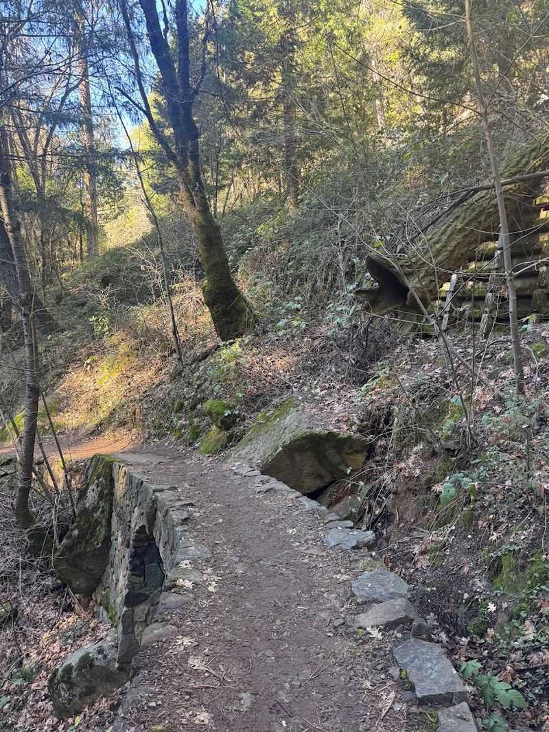Elevation Changes and Switchback Sections