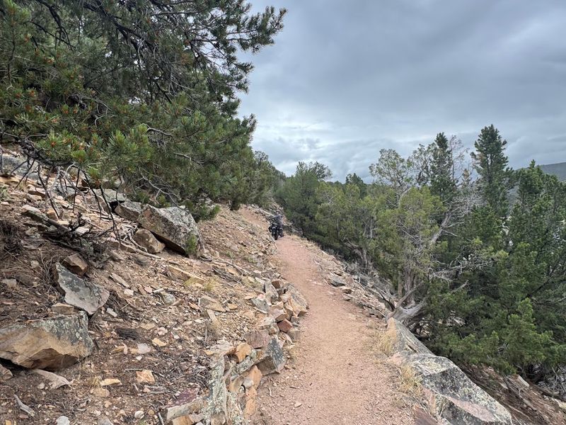 Enchanted Mesa Trail: A Hike Worth Every Step Enchanted Mesa Trail: A Hike Worth Every Step