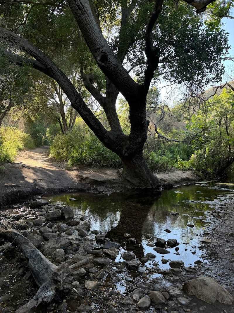 Entering Escondido Canyon Park: A World of Its Own