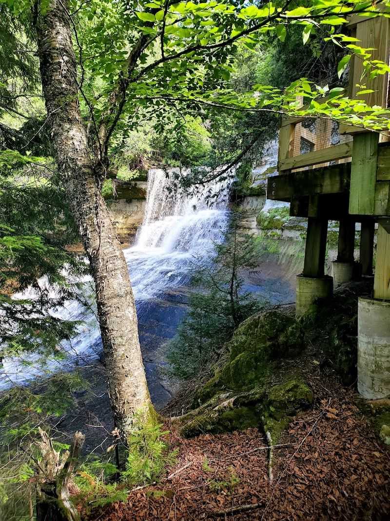Entry Fees and the Michigan Recreation Passport