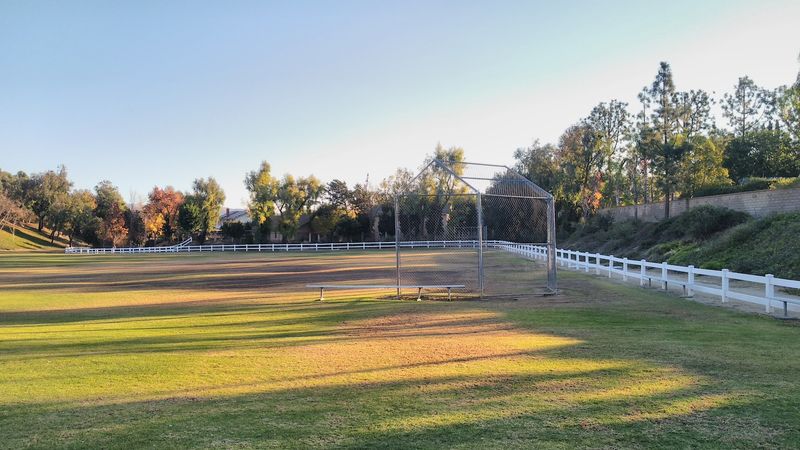Equestrian Culture and Horse-Friendly Living