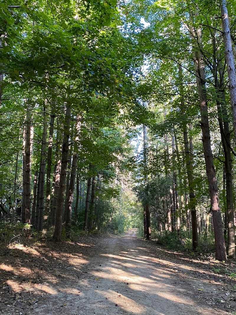 Equestrian Trails for Horse Lovers
