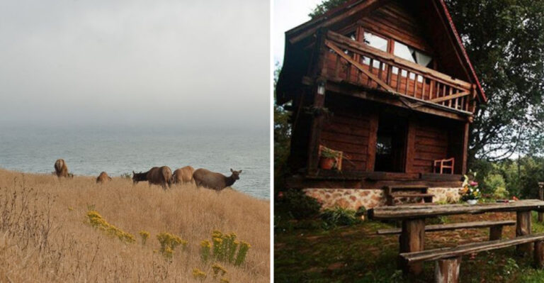 Escape The Crowds At This California State Park That Feels A World Away
