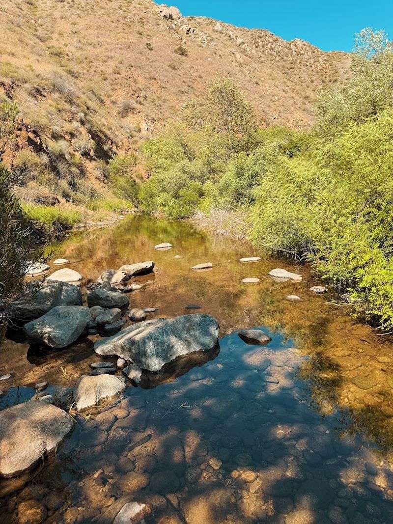 Essential Gear and What to Pack