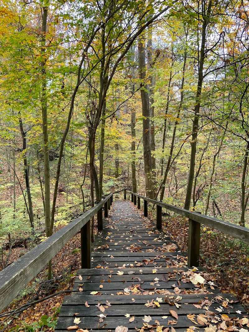 Every Season Brings a Whole New Park to Explore