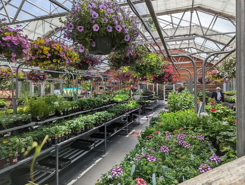 Exceptional Plant Selection and Quality Exceptional Plant Selection and Quality